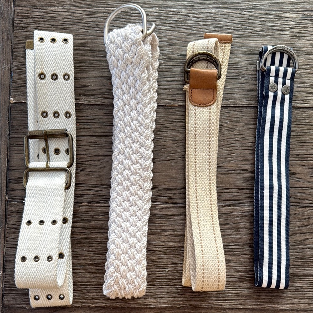 Set of Four Stylish Belts in Neutral Tones